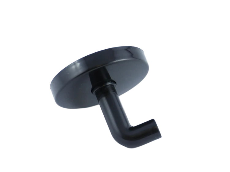 P1020756_clipped_rev_1.png